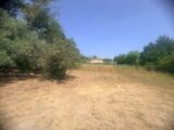  2585452-11680annonce420260719F33Cf.jpeg Maisons Open