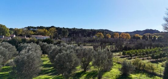 Terrain à bâtir à Mas-Blanc-des-Alpilles, Provence-Alpes-Côte d'Azur