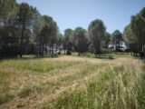  2646299-11039annonce220260923uD67U.jpeg Maisons Open