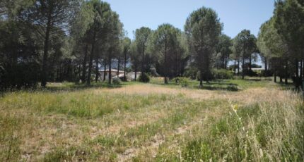 Roquebrune-sur-Argens Terrain à bâtir - 2646299-11039annonce220260923uD67U.jpeg Maisons Open