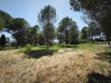  2646361-11039annonce120260923tf9N3.jpeg Maisons Open