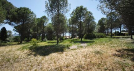 Roquebrune-sur-Argens Terrain à bâtir - 2646361-11039annonce120260923tf9N3.jpeg Maisons Open