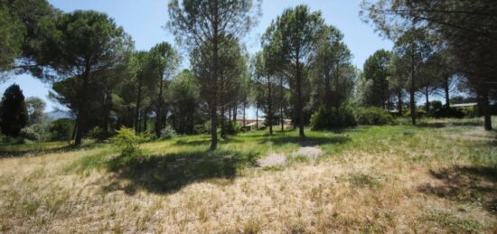 Terrain à bâtir à Roquebrune-sur-Argens, Provence-Alpes-Côte d'Azur