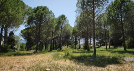 Roquebrune-sur-Argens Terrain à bâtir - 2646361-11039annonce320260923gzsuT.jpeg Maisons Open