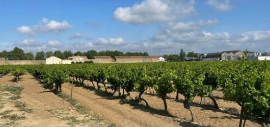 Terrain à bâtir à Canet, Occitanie