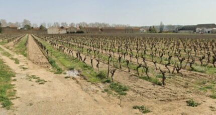 Canet Terrain à bâtir - 2646589-692annonce320260923lioIC.jpeg Maisons Open