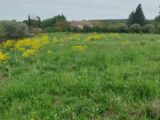  2647445-11157annonce320260924hUrHs.jpeg Maisons Open