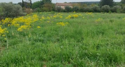 Lorgues Terrain à bâtir - 2647445-11157annonce320260924hUrHs.jpeg Maisons Open