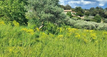 Lorgues Terrain à bâtir - 2647445-11157annonce420260924NA8s6.jpeg Maisons Open