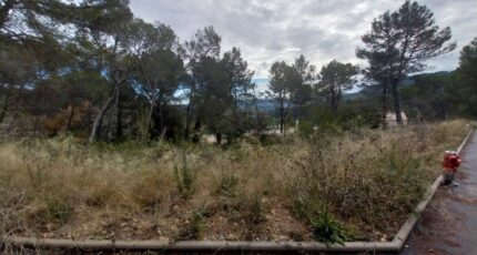 Salernes Terrain à bâtir - 2647327-11157annonce220260924RtG0M.jpeg Maisons Open