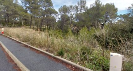 Salernes Terrain à bâtir - 2647327-11157annonce3202609249CJPk.jpeg Maisons Open