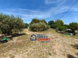  2647309-3951annonce1202609248HbTu.jpeg Maisons Open