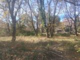  2647852-5100annonce320260924d7QDR.jpeg Maisons Open
