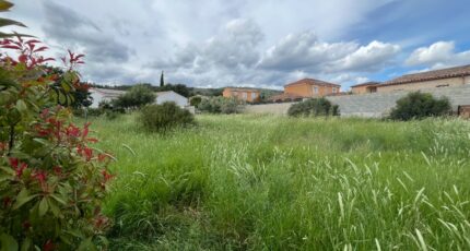 Le Cannet-des-Maures Terrain à bâtir - 2647768-11723annonce1202609249wSnX.jpeg Maisons Open