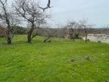  2563298-11821annonce1202606248QaJF.jpeg Maisons Open