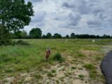  2590682-11870annonce120260727NS4aa.jpeg Maisons Open