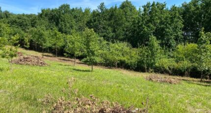 Monclar-de-Quercy Terrain à bâtir - 2648018-11913annonce220260924hA57c.jpeg Maisons Open