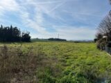  2648487-6150annonce120250318B0Zw3.jpeg Maisons Open