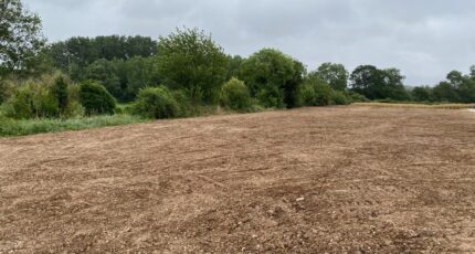 Tonnay-Boutonne Terrain à bâtir - 2649159-11194annonce220260925Q3W6L.jpeg Maisons Open