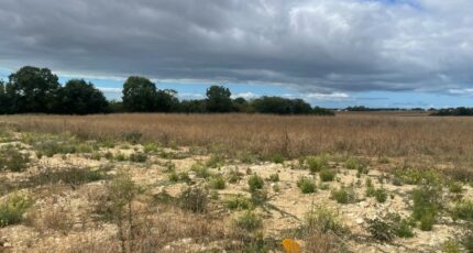 Saint-Nazaire-sur-Charente Terrain à bâtir - 2649169-11194annonce2202609257Bdox.jpeg Maisons Open