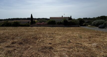 Mus Terrain à bâtir - 2568458-11455annonce120260629puHfZ.jpeg Maisons Open