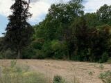  2650875-9917annonce120260926iCzaT.jpeg Maisons Open