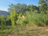  2651733-11719annonce1202609277ITNt.jpeg Maisons Open