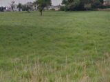  2649397-6159annonce320260925X3BRO.jpeg Maisons Open