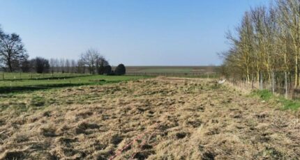 Lagnicourt-Marcel Terrain à bâtir - 2592072-7246annonce120260728NbUQQ.jpeg Maisons Open