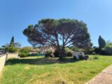  2653864-9911annonce120260929lLv1I.jpeg Maisons Open
