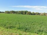  2629681-5771annonce120260911ZM6Ba.jpeg Maisons Open