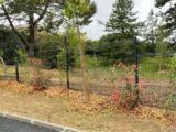  2649552-5771annonce120260925cTldh.jpeg Maisons Open