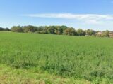  2649590-5771annonce120260925ecFA3.jpeg Maisons Open