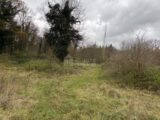  2649547-10924annonce120260925Tk6D7.jpeg Maisons Open