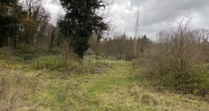 Vulaines-sur-Seine Terrain à bâtir - 2649547-10924annonce120260925Tk6D7.jpeg Maisons Open