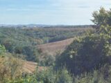  2644435-annonceTerrain-20260929161022.JPEG Maisons Open