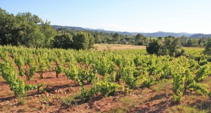 Carcès Terrain à bâtir - 2655030-5922annonce220260929ftUUz.jpeg Maisons Open