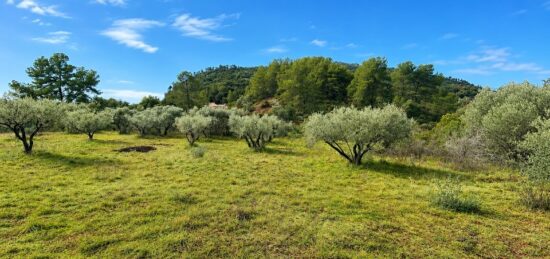 Terrain à bâtir à Gonfaron, Provence-Alpes-Côte d'Azur
