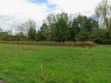  2587354-10863annonce12026072109T2Q.jpeg Maisons Open