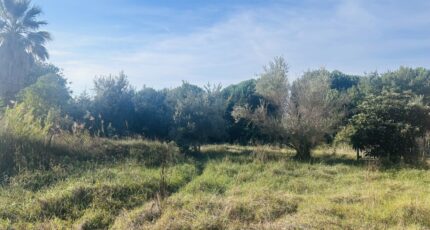 Puget-sur-Argens Terrain à bâtir - 2655241-4529annonce3202609292K5bI.jpeg Maisons Open