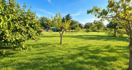 Puget-sur-Argens Terrain à bâtir - 2655039-4529annonce120260929wMNWF.jpeg Maisons Open