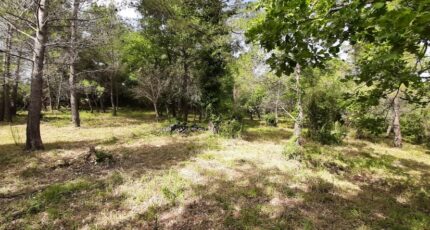 Flayosc Terrain à bâtir - 2655517-10295annonce320260105eABTQ.jpeg Maisons Open