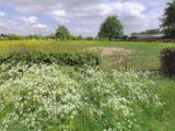  2655611-10863annonce1202609300DxNL.jpeg Maisons Open