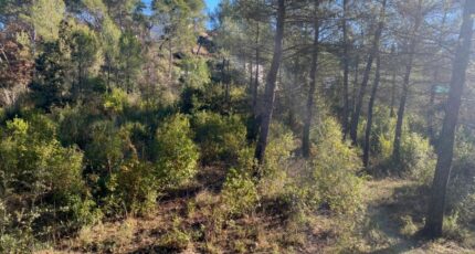 Brignoles Terrain à bâtir - 2655939-5922annonce120260930lxUst.jpeg Maisons Open