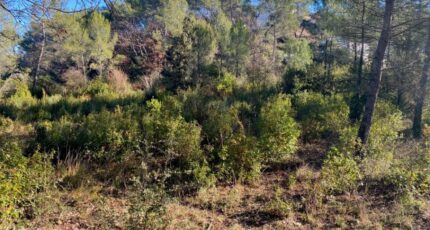 Brignoles Terrain à bâtir - 2655939-5922annonce220260930FO2W5.jpeg Maisons Open