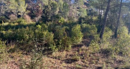 Brignoles Terrain à bâtir - 2655939-5922annonce320260930Zb7RD.jpeg Maisons Open