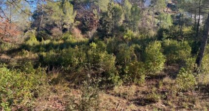 Brignoles Terrain à bâtir - 2655939-5922annonce420260930IVDdM.jpeg Maisons Open