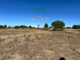  2655146-10896annonce420260929qf9qK.jpeg Maisons Open