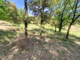  2656461-7060annonce220260608s7vbR.jpeg Maisons Open