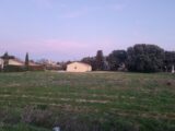  2657329-6150annonce520260609T9CX1.jpeg Maisons Open